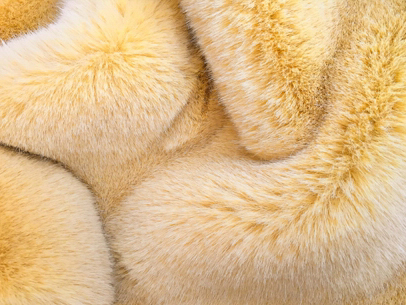 XD0012-Zarter Goldfuchs